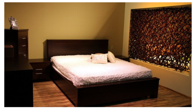 You are currently viewing Can Termites Get in Your Bed? & How to Get Rid of Them?