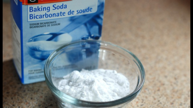 Read more about the article Does Baking Soda Kill Termites? Reality or Myth?