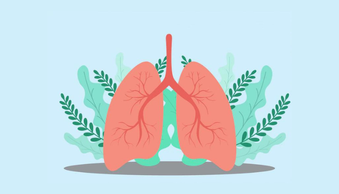 You are currently viewing A Simple Guide To Detox Your Lungs After Smoking