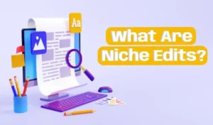 Read more about the article What Are Niche Edits? Importance of Niche in Google SEO