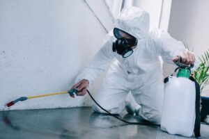Read more about the article Best Pest Control in Oklahoma City – Understand the Importance