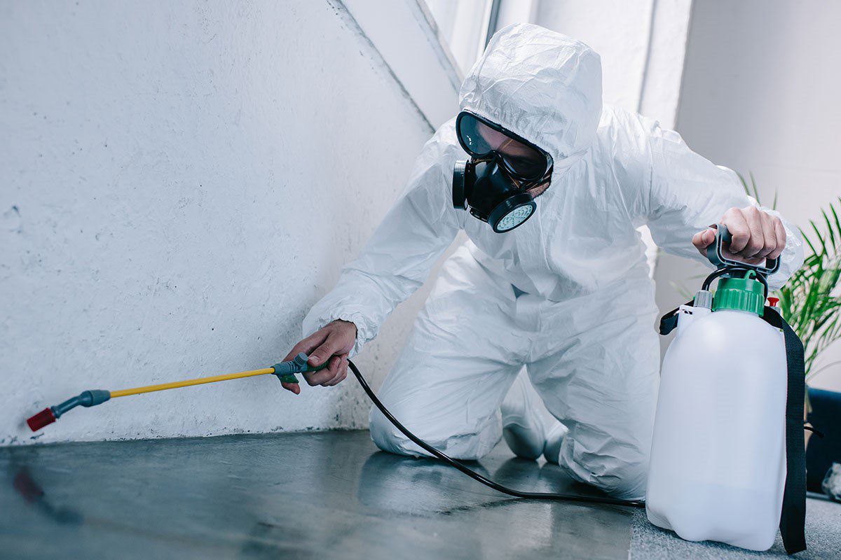 You are currently viewing Best Pest Control in Oklahoma City – Understand the Importance